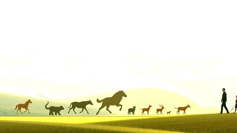 Animales y humanos bailan en luz suave