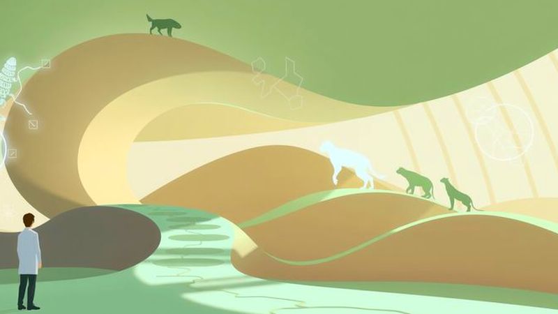 Evolución fluida se observa en calma