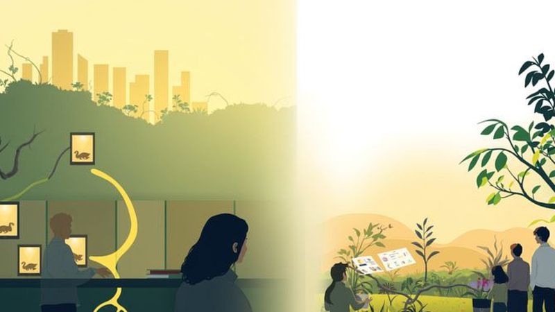 Un paisaje urbano ecológico colaborativo y armonioso